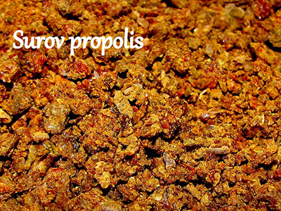 Apiterapija - propolis