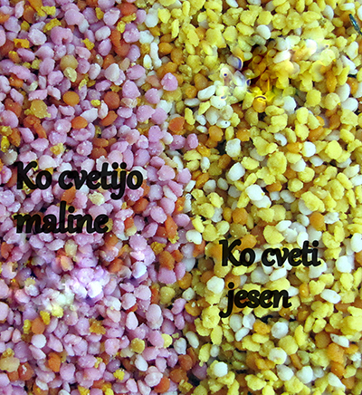 Barve cvetnega prahu