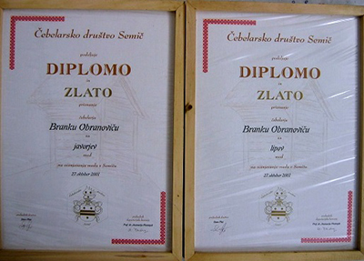 Diplomi 2001