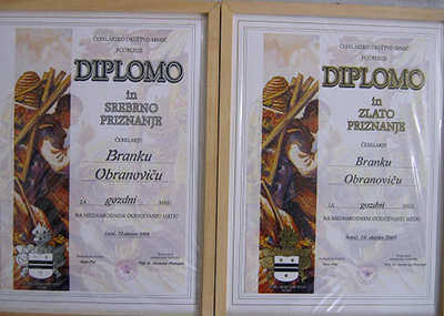 Diplomi 2004